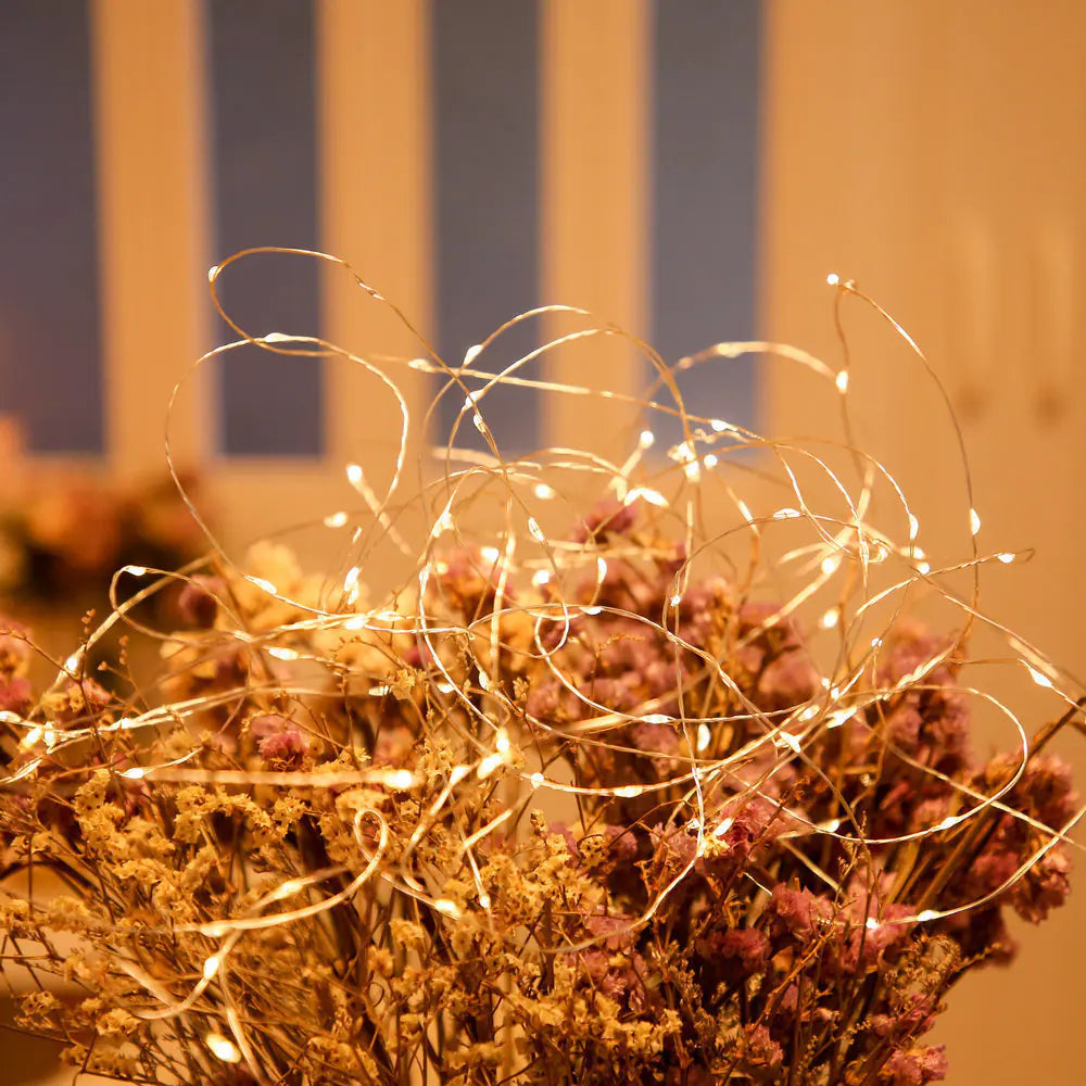 Newsoo Copper Star LED String Lights for Room Decor