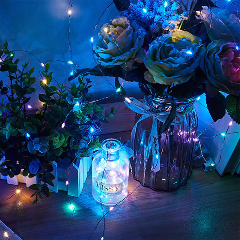3M Copper Wire LED Fairy Lights for Holiday Decoration