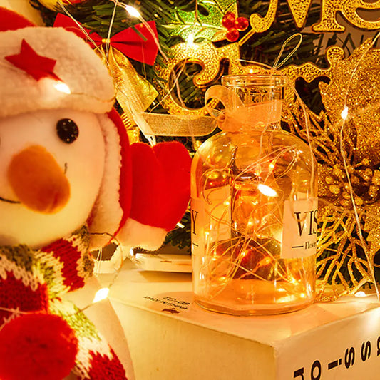 3M Copper Wire LED Fairy Lights for Holiday Decoration